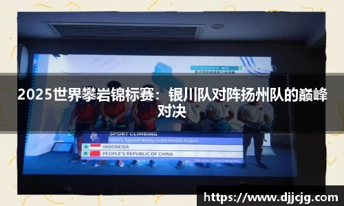 2025世界攀岩锦标赛：银川队对阵扬州队的巅峰对决